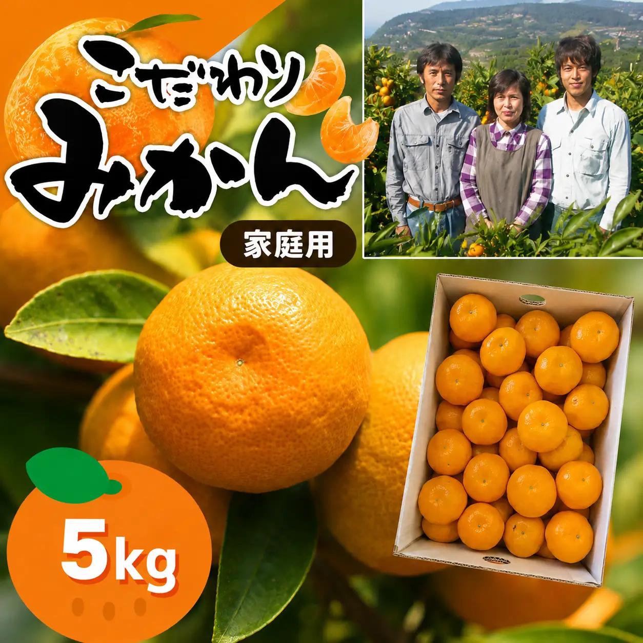 ≪家庭用≫こだわりみかん 5kg |  豊華の夢ロード