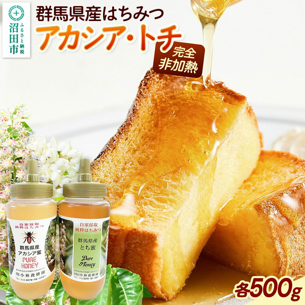 【ふるさと納税】群馬県産蜂蜜 アカシア・栃 500g 各1本 詰め合わせ [蜂蜜 はちみつ ハチミツ 国産 アカシア アカシヤ 栃 とち トチ]