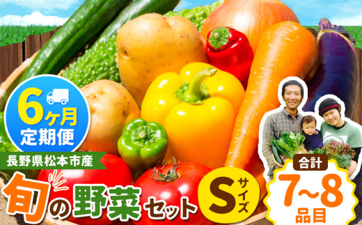 【定期便6回】子育て農家の野菜セット（Sサイズ）農薬・化学肥料不使用 | 定期便 無農薬 野菜 やさい 長野県 松本市 信州産 ふるさと納税
