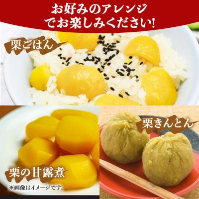 ふるさと納税 西予市 <旬の小栗 合計約2kg 愛媛県西予市産>宇都宮物産 愛媛 |  | 01