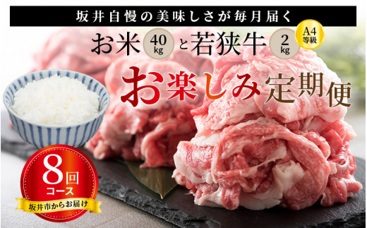 
【定期便 8回コース】 坂井市産コシヒカリ 計40㎏ ＋ 若狭牛切り落とし 計2㎏ [J-3201]
