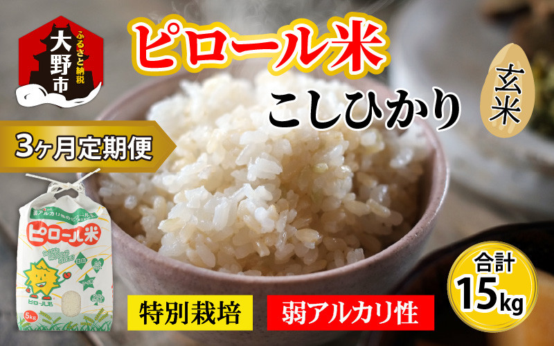 
                  【令和8年産 新米】【3ヶ月定期便】こだわりの米！弱アルカリ性のピロール米 こしひかり 玄米 5kg×3回 計15kg [C-009002]
                