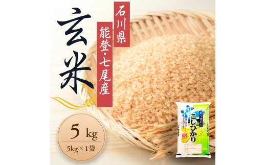 【発送時期が選べる】石川県能登産こしひかり玄米5kg（5kg×1個） / 米 玄米 5kg 日本初！世界農業遺産認定「能登の里山里海」の恵み ｜石川県 七尾市 能登 ※2026年6月～発送