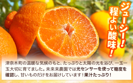 熊本のブランド果実 不知火 10玉 約3kg 未来来農園 《2月下旬-3月末頃より出荷予定》熊本県 葦北郡 津奈木町 デコポン でこぽん フルーツ 柑橘 しらぬい