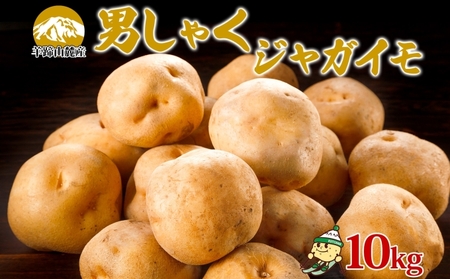 じゃがいも 男爵 北海道産 Lサイズ じゃがいも【約10kg】