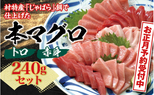 お正月に間に合う！ 本マグロ（養殖）トロ＆赤身セット 240g　【年末発送（12月25日～29日発送）】【配達日指定不可】【nks113-sg】