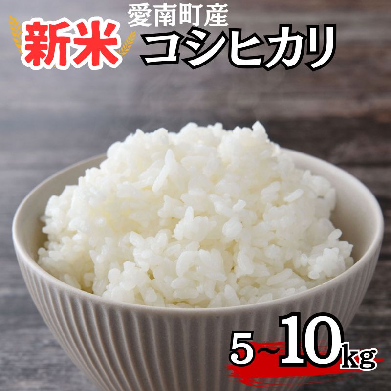【ふるさと納税】 新米 令和7年産 コシヒカリ 5kg/10kg 米 お米 愛南町産 白米 精米 こしひかり 人気 産地直送 国産 農家直送 期間限定 数量限定 特産品 こめ コメ 令和7年度産 2025年産 国産米 おいしい おにぎり 贈答品 プレゼント 愛南町青果市場 青果市場 愛南町