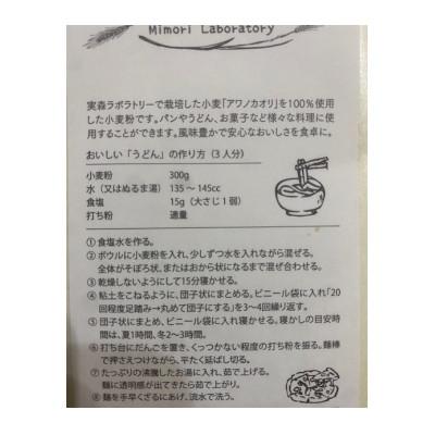 ふるさと納税 美馬市 美馬市産中力粉(令和4年度産1.5kg) |  | 01