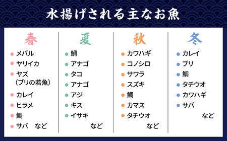 【全6回定期便】【塩 にも こだわり ！ 】玄海 の 海旬 の 干物 セット ( 3,4人向け ) 糸島市 / 福ふくの里[ALD006]