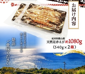 海老 エビ えび クマエビ 足赤 天然 おかず / 紀州和歌山産天然足赤えび540g×2箱（270g×4パック）化粧箱入 ※2024年11月上旬～2025年2月上旬頃順次発送予定（お届け日指定不可）【