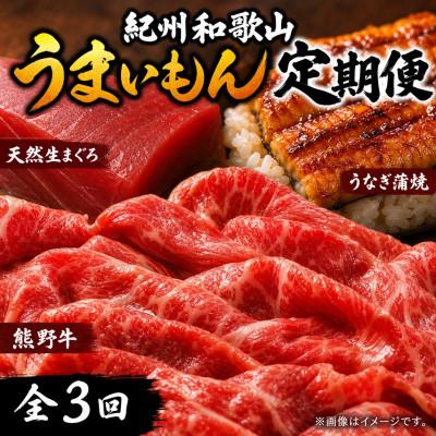 ふるさと納税 かつらぎ町 【毎月定期便】紀州和歌山うまいもんセットB(生まぐろ・うなぎ蒲焼・熊野牛)全3回