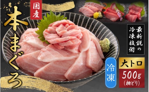 
【最新鋭の冷凍技術 刺身用】本まぐろ 大トロ 500g（柵どり）【マグロ 鮪 本マグロ お刺身 国産 冷凍配送】[B-107002]
