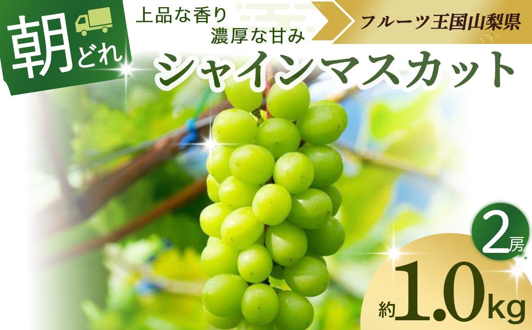 【☆先行予約☆2025年発送】シャインマスカット 2房 約1.0kg 先行予約 山梨県産 国産 甲斐市 産地直送 人気 おすすめ 贈答 ギフト お取り寄せ フルーツ 果物 くだもの ぶどう ブドウ 葡萄 新鮮 甘い 皮ごと 種なし AV-2