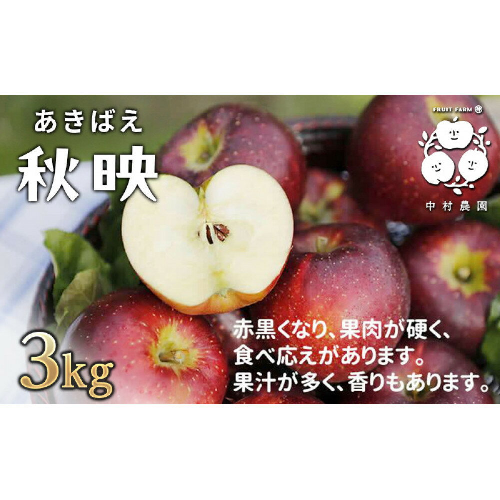 【ふるさと納税】【10月上旬発送 先行予約】樹上熟成　秋映 3kg | 樹上熟成 秋映 林檎 リンゴ 果物 くだもの フルーツ 旬の果物 旬のフルーツ 季節の果物 季節のフルーツ 美味しい果物 長野県産 長野県産りんご 信州 長野 長野県 長野市