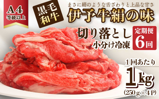 全6回定期便 黒毛和牛 伊予牛 絹の味  牛切り落とし 1㎏×6回 (冷凍)　愛媛県西条市 青野精肉店  | 黒毛和牛 A4～A5 お肉 牛肉 切り落し きりおとし 定期便 国産肉 国産牛肉 肉 和牛 おにく グルメ お取り寄せ おすすめ 国産 愛媛県 西条市