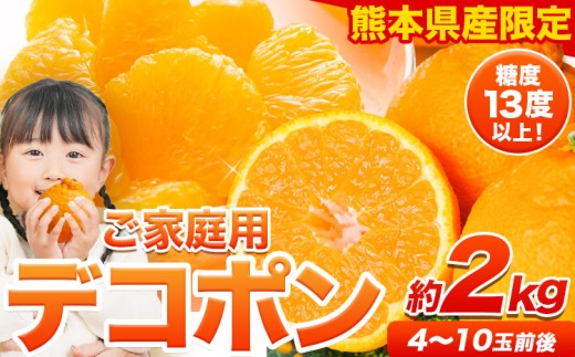 先行予約 ご家庭用 デコポン 訳ありデコポン 約2kg 前後 (約4-10玉前後)《2027年2月上旬-4月上旬頃出荷》不知火 熊本県産 熊本県 長洲町 糖度13度以上
