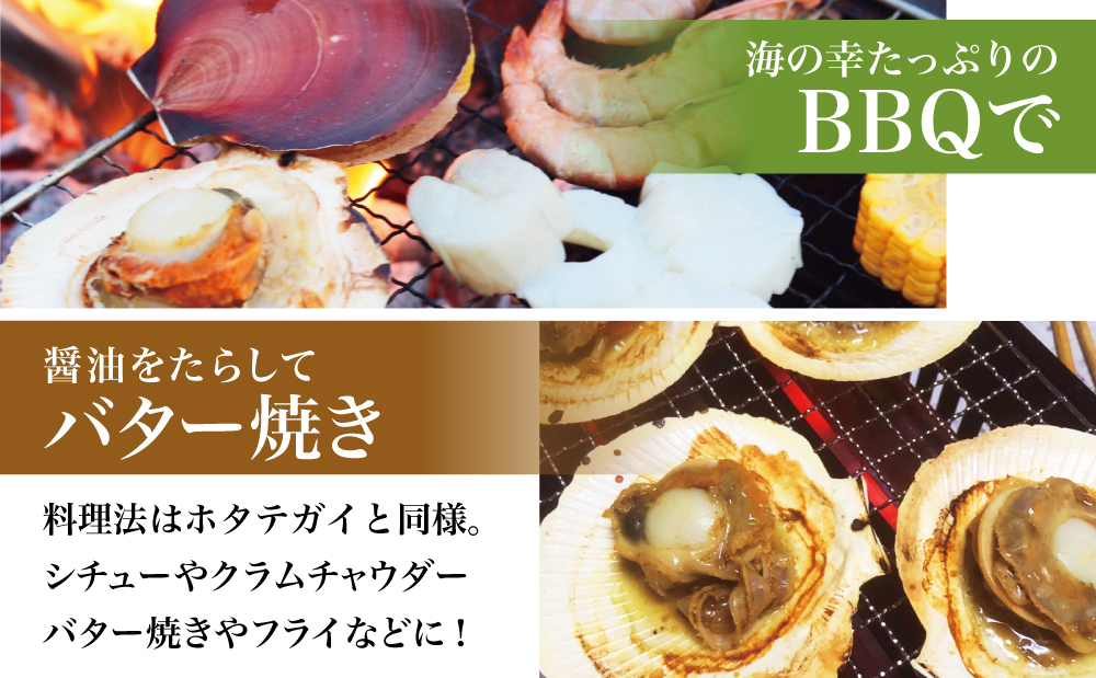 【鹿児島特産】希少 月日貝 約2.5kg （加熱調理用） ツキヒガイ つきひがい 貝 鹿児島県産 海鮮 BBQ バーベキュー アヒージョ 酒蒸し バター焼き シチュー 冷凍 南さつま市