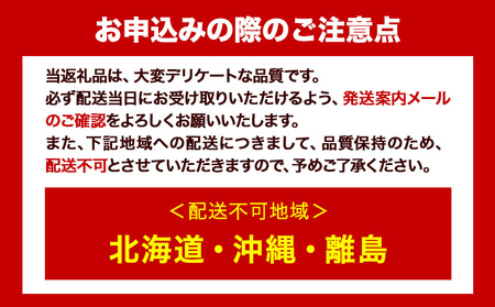 【2026年発送】シャインマスカット 晴王  1.3kg   ハレノフルーツ マスカット　【配送不可地域あり】