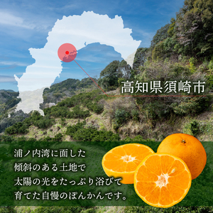 秀品ポンカン5kg 2026年1月中旬より順次発送 ﾎﾟﾝｶﾝﾎﾟﾝｶﾝﾎﾟﾝｶﾝ ﾐｶﾝﾐｶﾝﾐｶﾝﾐｶﾝﾐｶﾝ