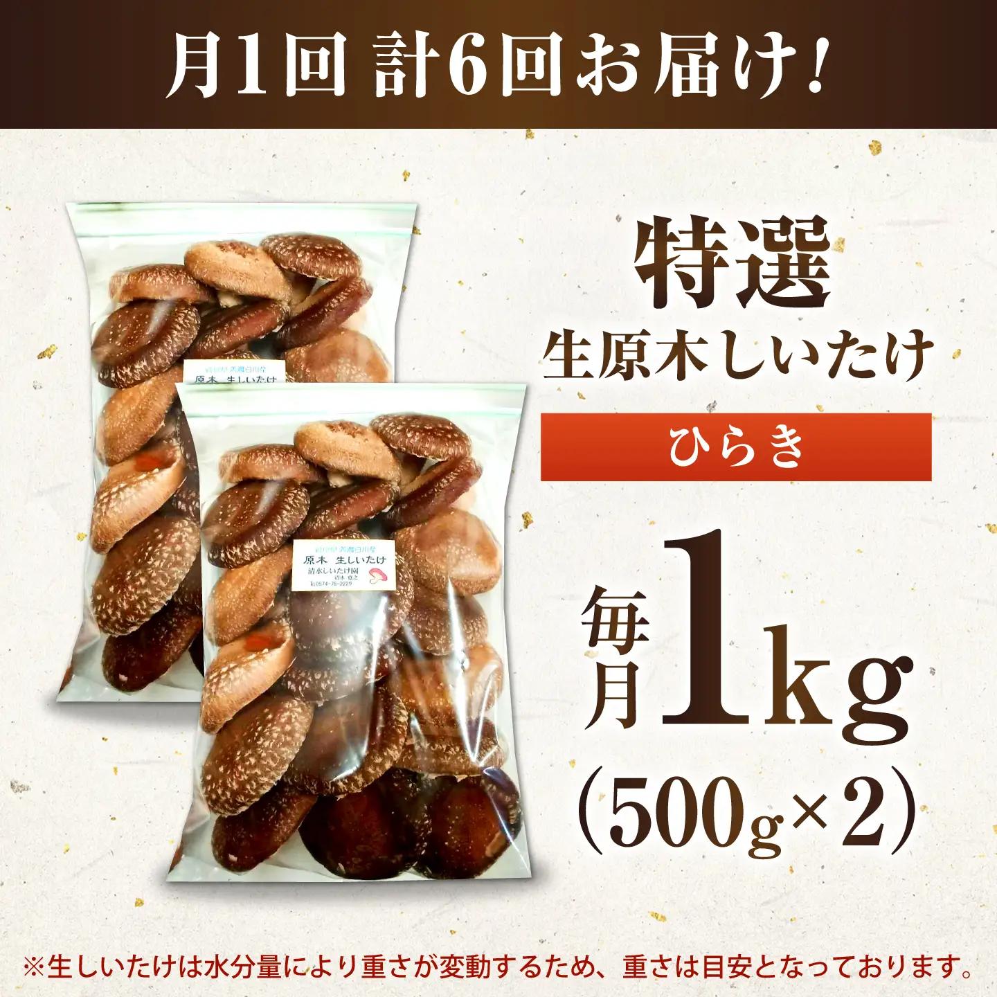 【6回定期便】生しいたけ ひらき 1kg / 清水しいたけ園[AWAY009]椎茸