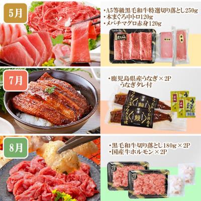 ふるさと納税 枕崎市 定期便8回配送　ぜいたく!!お楽しみ定期便　HH0-0001 |  | 02