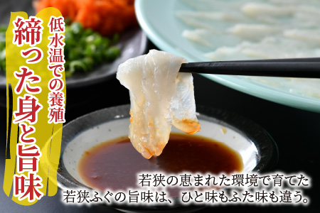 【TVで紹介されました】【2025年10月19日より順次発送】【冷蔵】若狭ふぐ刺しセット 4人前|旅サラダ ふぐ フグ 若狭ふぐ 刺身 てっさ ふぐ皮 ひれ酒 新鮮 豪華 贅沢 冷蔵 薬味 ふぐ刺し