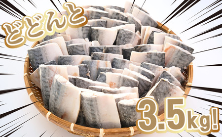 訳あり 塩サバ 腹骨取り 切身 約3.5kg 【 さば 】 カネジョウ大崎