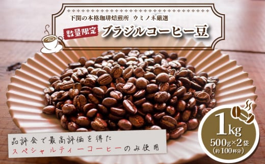 【粗挽き】 訳あり コーヒー豆 1kg ( 500g × 2袋 ) 数量限定 ブラジル 珈琲 自家焙煎 下関 山口