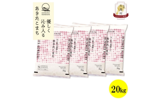 ＜毎月定期便＞秋田県産あきたこまち白米20kg(5kg×4)全12回【4072894】