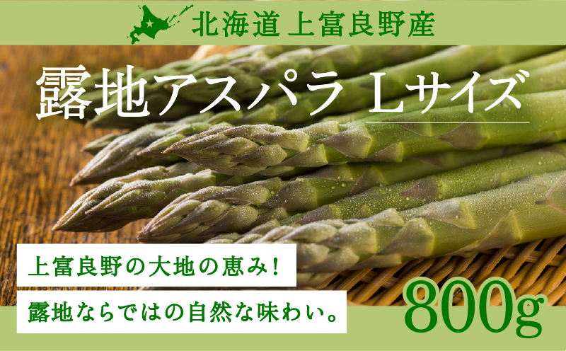 【令和8年産】先行予約 北海道 上富良野産 露地 グリーン アスパラガス Lサイズ 800g アスパラ グリーンアスパラ 上富良野町 令和7年発送 野菜 やさい