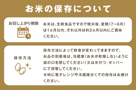 【令和5年産】無洗米 浜田市金城町産こしひかり ２kg×３袋 米 こしひかり お米 新生活応援 お中元 お取り寄せ 特産 ごはん ご飯 コメ 新生活 応援 準備 【1270】