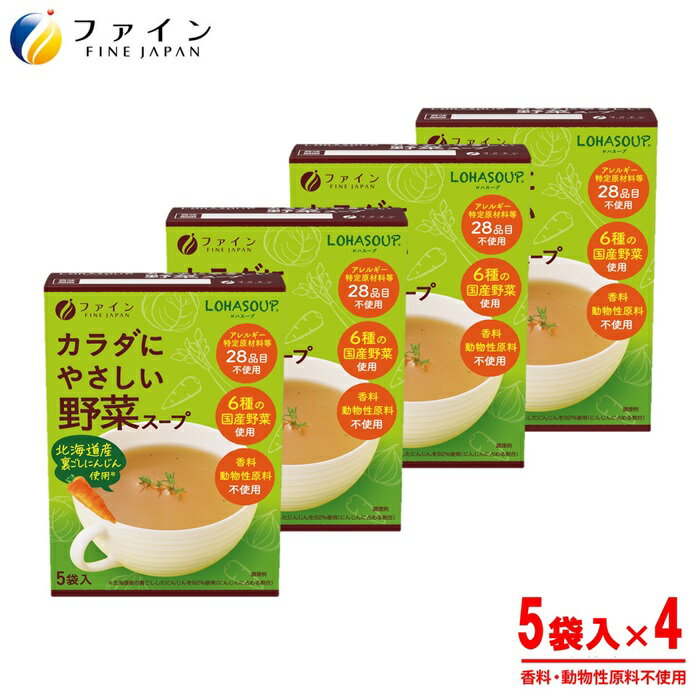 【ふるさと納税】H-253　からだにやさしい野菜スープ5袋×4個セット