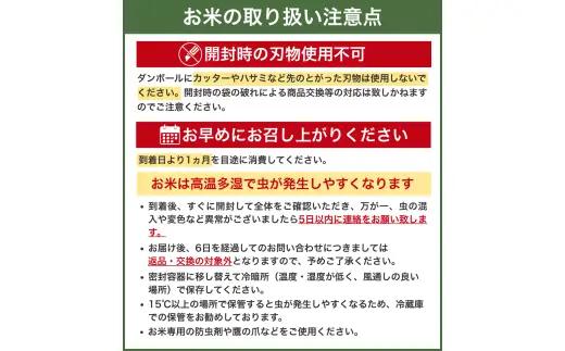 新米 和歌山 の お米 ( 白米 ) 5kg 2026年産 (未検査米) / キヌヒカリ にじのきらめき 精米 米 こめ 令和8年産 選べる内容量 ※2026年8月下旬より順次発送【sml400-ki