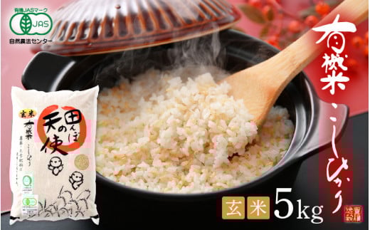 新米 令和7年産 有機JAS 米 越前コシヒカリ 5kg 福井県産【玄米】【有機栽培 JAS認証 人気品種 こしひかり 5キロ】 [e10-c004]