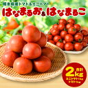 【ふるさと納税】 熊本県産 トマト 1kg ＆ ミニトマト 1kg 合計2kg はなまるお はなまるこ とまと 野菜 産地直送 八代市産 プチトマト 新鮮 青果物 農産物 サラダ 八代市産 九州 箱入り 特産品 まとめ買い 送料無料