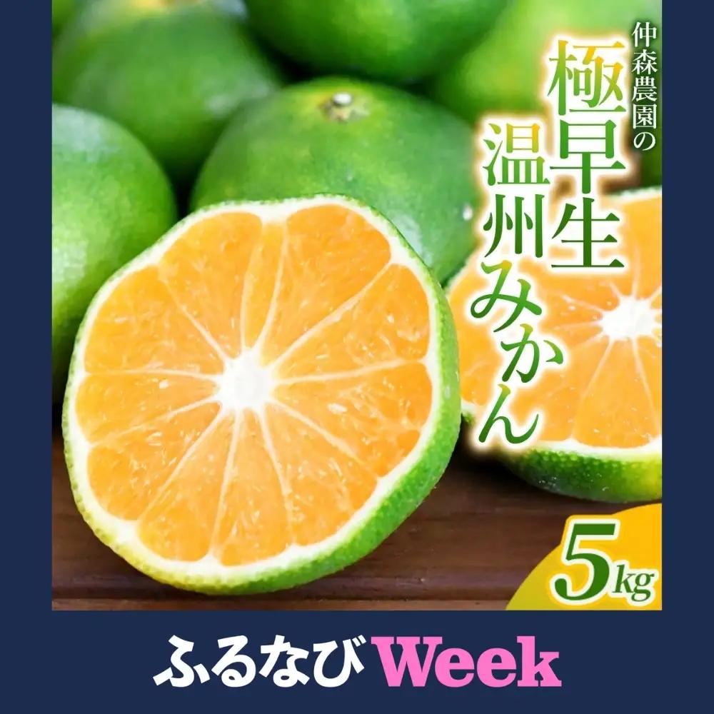 みかん 極早生温州みかん 約5kg【nkmr0016】