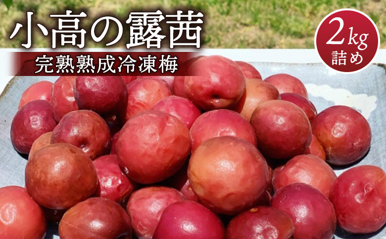 
            小高の露茜 完熟熟成冷凍梅 2kg | 産地直送 冷凍便 完熟梅 梅の実 梅干しや梅ジュース 梅酒 梅ジャムに 冷凍梅 手摘み 福島 南相馬
          