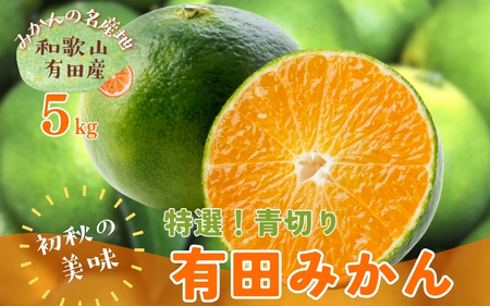 【先行予約】【2026年9月中旬～10月上旬頃に順次発送予定】【初秋の美味】【農家直送】特撰　青切り有田みかん　5kg+200g(傷み補償分) ※北海道・沖縄・離島配送不可/ 和歌山 ミカン オレンジ 柑橘 フルーツ 果物 くだもの 旬【ard044D】