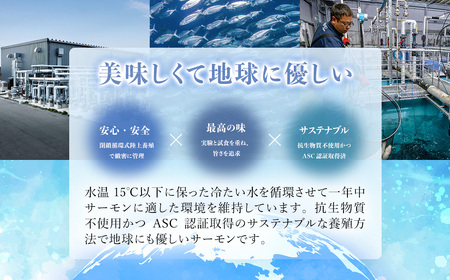 ＜メディア掲載多数＞木更津産おかそだち生サーモントラウトフィレ250g×4P(真空パック) KJ009 | サーモン 生サーモン 鮭 さけ サケ シャケ ふるさと納税 真空パック 真空 生サーモントラ