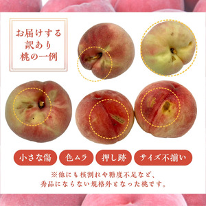 〈2025年度配送分〉甲府市産　訳ありもも　約2kg（4～7玉）