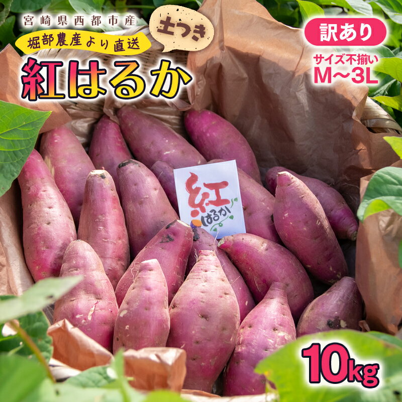【ふるさと納税】【訳あり】熟成 紅はるか10kg（5kg×2箱）M～3L 宮崎県 西都市産 さつまいも 甘藷 土付き 先行予約