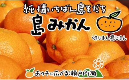 【2026年1月上旬から発送予定】希望の島 温州みかん 新品種『ゆたか』 3kg 愛媛県産 みかん 柑橘【FT028_x】
