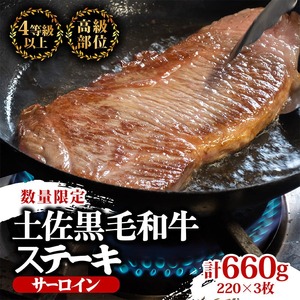 【定期便6回】土佐黒毛和牛サーロインステーキ 計3.96kg（660g×6ヶ月) | たけうちミート定期便2Wコース サーロイン肉 最上位等級 A4 A5 最高 ランク 厚切り ステーキ用 焼肉用 国