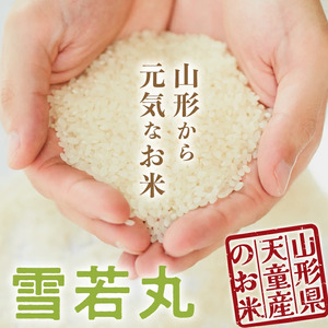 【2026年3月上旬発送】令和7年産 雪若丸 10kg 米 精米 山形 天童 07-01-180-03A