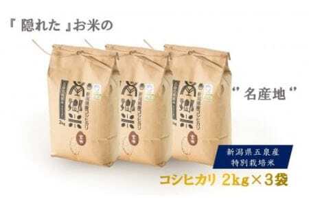 【令和6年度産新米】特別栽培米コシヒカリ「南郷米」玄米6kg（2kg×3袋） 有限会社ファームみなみの郷