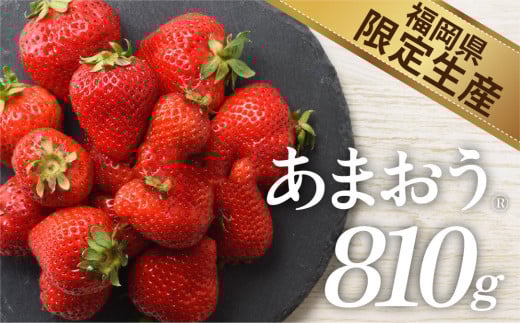 人気№１獲得謝礼品★限定品★あまおう約８１０g（先行受付．２０２６年１月以降発送）.AB379