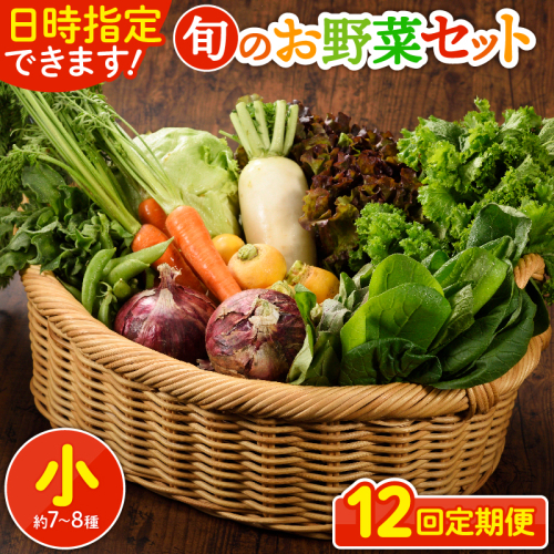 日時指定可能！旬のお野菜セット（サイズ小）【全12回定期便】