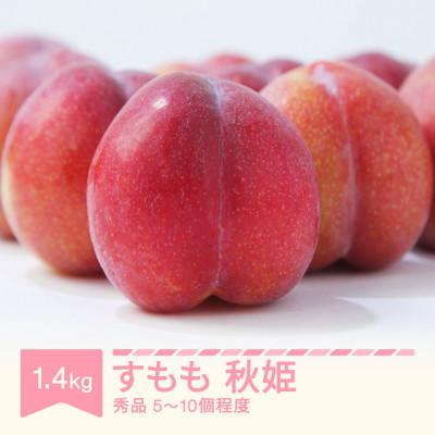 ふるさと納税 村山市 すもも 秋姫 秀品 約1.4kg (5〜10個程度) 令和8年産