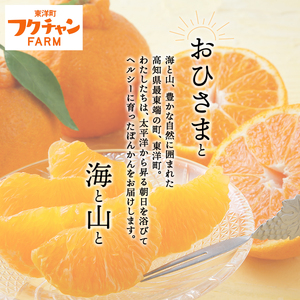 F-07 ＜先行予約＞訳アリ完熟ぽんかん 5kg 国産 東洋町産 訳あり 甘酸っぱい ジューシー 高知県 東洋町 四国 お取り寄せ フルーツ 蜜柑 ミカン 果物 送料無料 産地直送 F119 【株式会