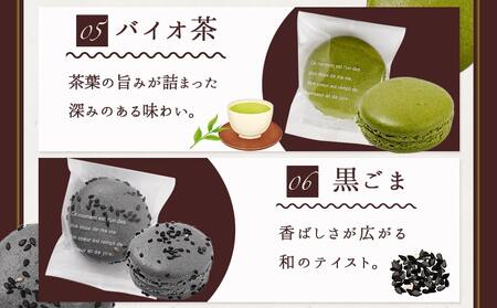 静マカロン ふるさと香る彩りセレクト 6種6個入≪みやこんじょ特急便≫_LE-C206-Q_(都城市) マカロン スイーツ ショコラ いちご 日向夏 ショコラピスタチオ バイオ茶 黒ごま